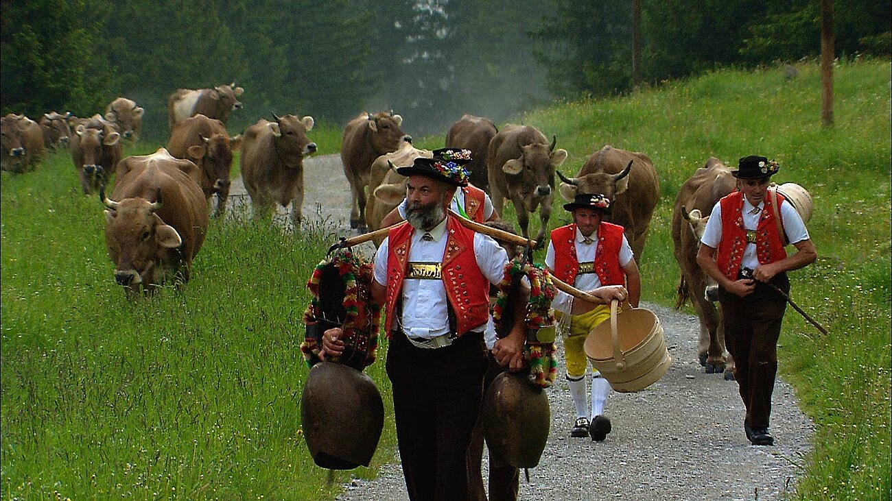 Senn in appenzeller Tracht gefolgt von weiteren Sennen und Kühen